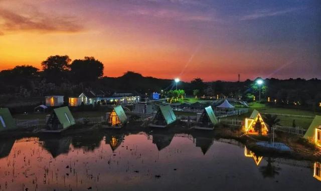 周末 ，宜回归自然！三水露营宝地推荐来了！