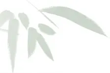 2023年中秋、国庆假日期间出入境办证窗口接待安排图片