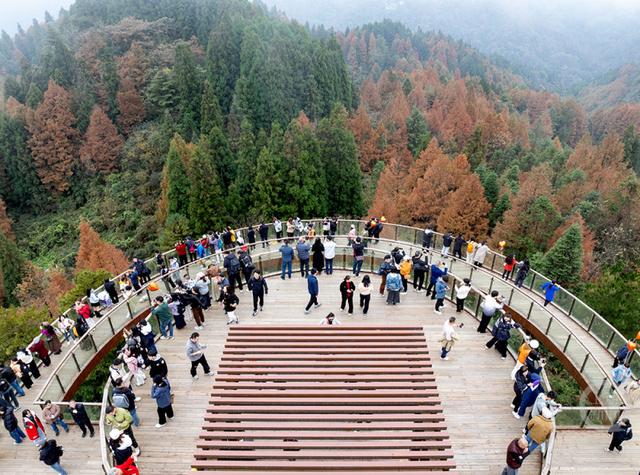 重庆南川：彩林季点燃冬日旅游热