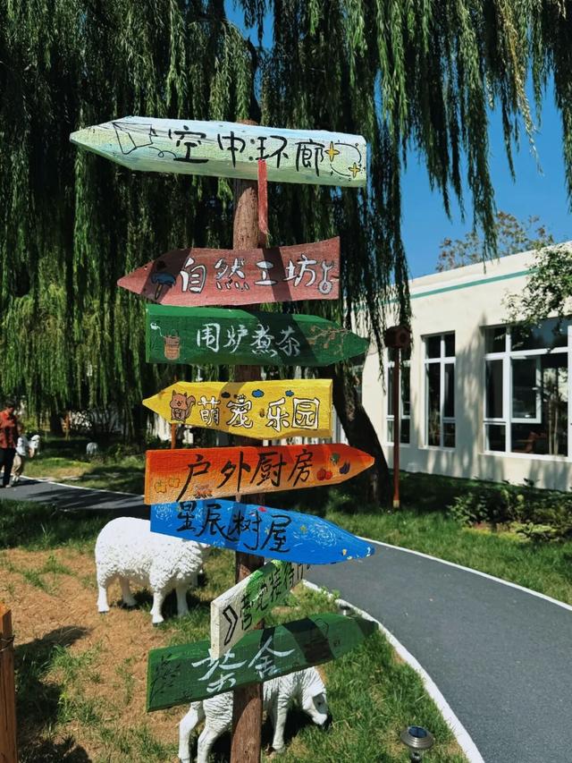 淄川又多一处带孩子玩的营地啦！有好多小动物！