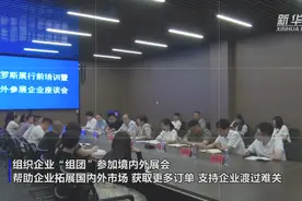 新华全媒+｜河北白沟：精准帮扶助力箱包企业恢复生产图片