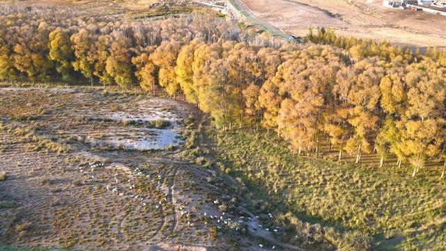 【省媒看永昌】新甘肃 |一眼沦陷 永昌的秋天美到挪不开眼