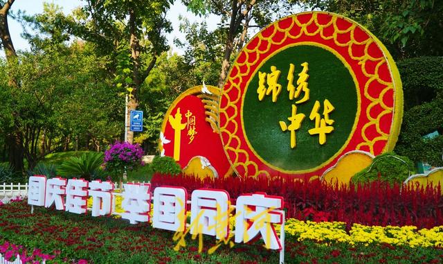 花漾滨州城，共赴山海约