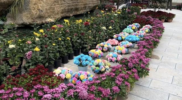 2025保康秋游季，邀您共赏山色如画