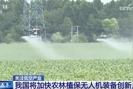低空产业助力农业现代化向“新”行 我国将加快农林植保无人机装备创新应用图片