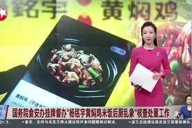 国务院食安办挂牌督办“杨铭宇黄焖鸡米饭后厨乱象”核查处置工作视频封面