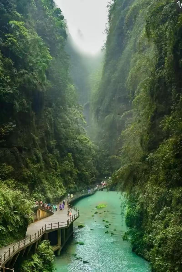 重庆首个“五星级汽车自驾运动营地”落户彭水摩围山，星空露营地开营啦！
