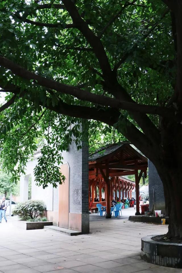 一年逛两次莲花西路，每次都有新感觉