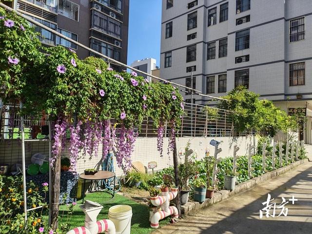 文脉生金，老厝古村变身人气地标｜百千万·看龙湖