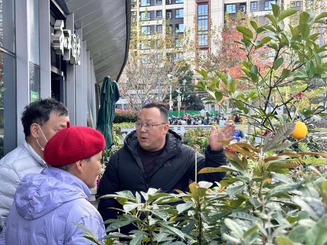 “赏景”变“享景”，情绪价值拉满游园不止“20分钟”