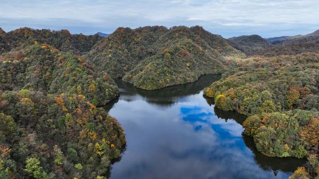 北纬28°的彩色秘境 贵州绥阳宽阔水国家级自然保护区初冬层林尽染