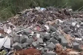 永久基本农田变垃圾场，不容“表面整改”敷衍了事｜时评图片