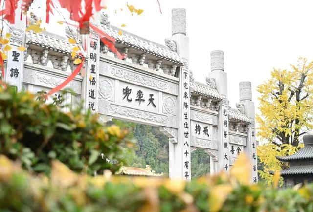 免费！上虞中小学生秋假福利来了