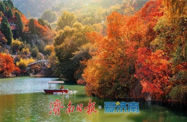 泉城初冬限定！在济南赴一场斑斓之约