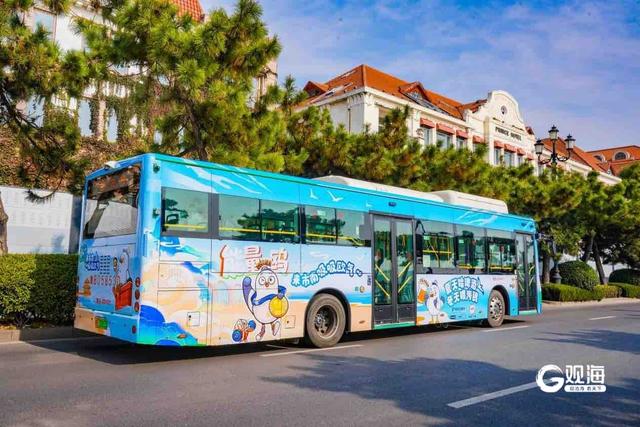 五大场景全域联动！从云端到海岸，青岛邀您开启鸥遇之旅