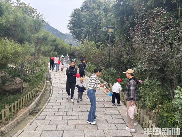 青岛竹子庵：金秋赏景正当时！