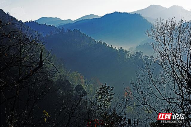 从“十八拐”到齐眉界，一条森林公园里的红色风景线