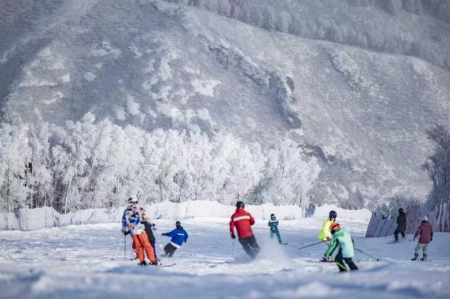 追求速度亦不忘慢生活 张家口将打造全国最大户外亲子娱雪乐园