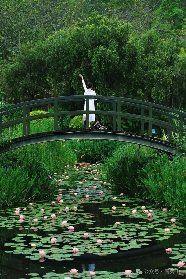 以 “旅” 致谢，以 “礼” 敬师 ！@所有老师 教师节快乐！南宁文旅邀您，赴一场绿城之约→