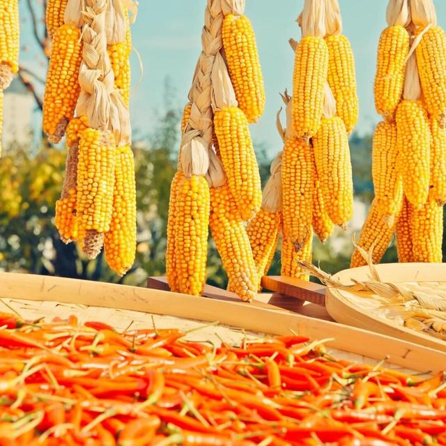 在上饶婺女洲美美入冬，朋友圈可以这样发→