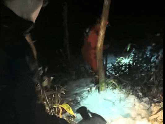 打卡变求救！一场六小时的踏雪营救……