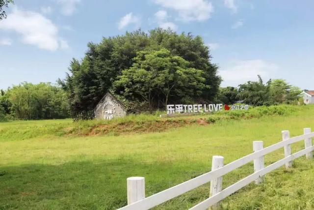 多图直击！“北江之恋・朝夕有你”夕阳音乐嘉年华热力开唱！