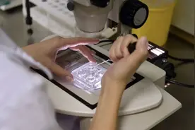 “别无选择”！逾七成美科研人员考虑离开美国，主要原因披露图片