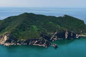文化中国行｜大连蛇岛上有近2万条毒蛇，鸟儿为何还要到这里停栖图片