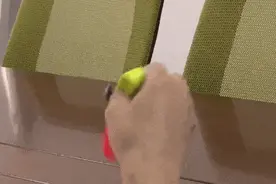 校园兴起“萝卜刀”？似乎也没那么热！专家：流行易更迭，安全和规则意识更重要！图片