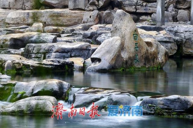 一年四季 泉在济南丨护城河畔细雨织轻纱 垂柳秋韵映清波