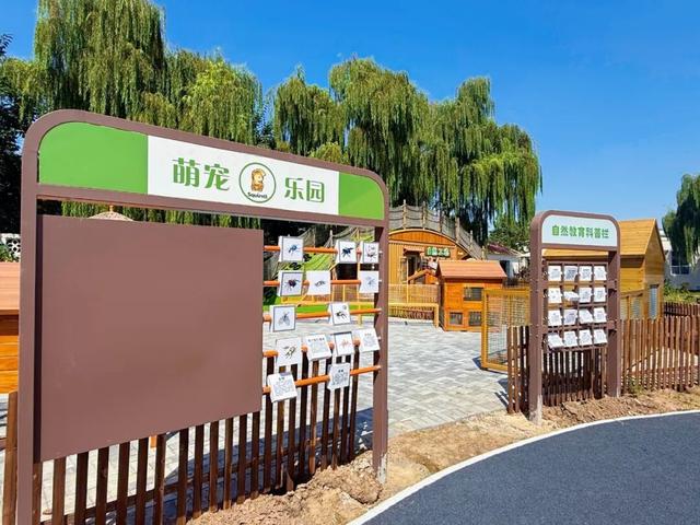 淄川又多一处带孩子玩的营地啦！有好多小动物！
