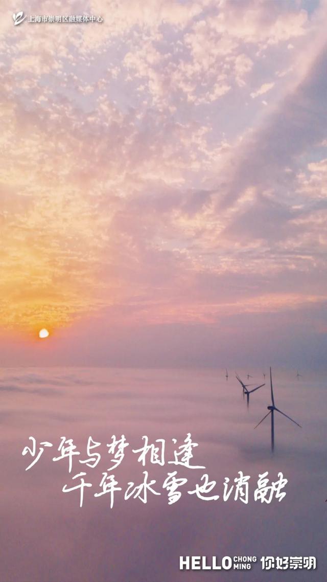 崇明水果秋葵上市，可以生吃！