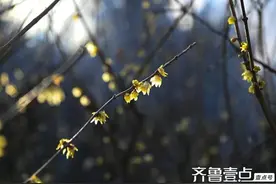 人品好的人，身上有四个特征！图片