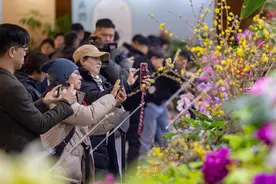 年宵名花汇丰台 2025北京家庭园艺嘉年华精彩开幕图片