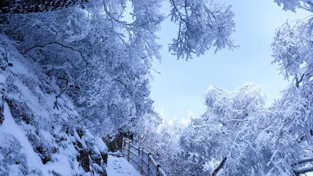 踏破风沙赴神都，白云山赠“终身旅游卡”！让天山来客常回“家”看看