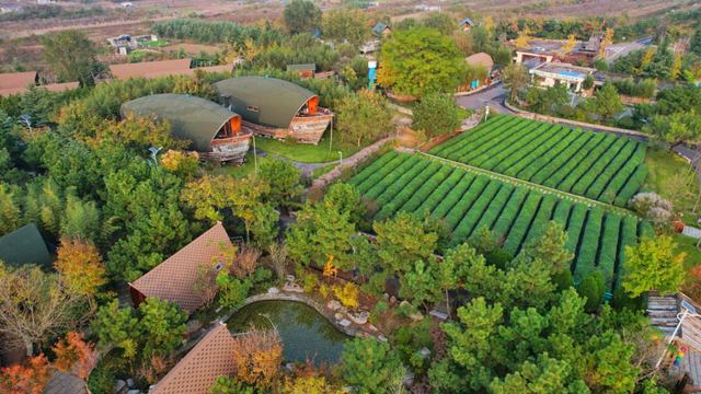 山海添新卷！新华社接连聚焦日照