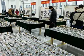 果然视频|山东沂水跋山水库史前考古大发现，出土化石全国罕见图片