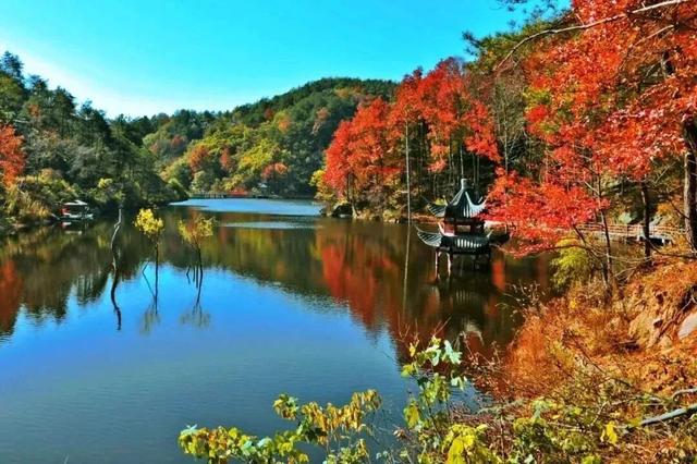 出片率100%！湖北的秋天太卷了