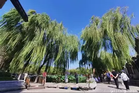 假日里的百花洲景色宜人图片