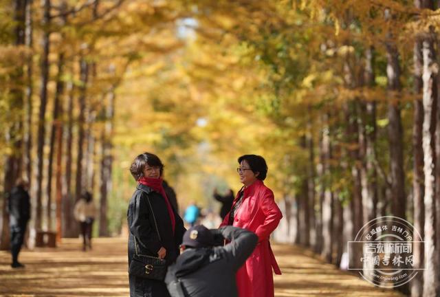 吉镜头丨赏秋必打卡——百木园“黄金大道”