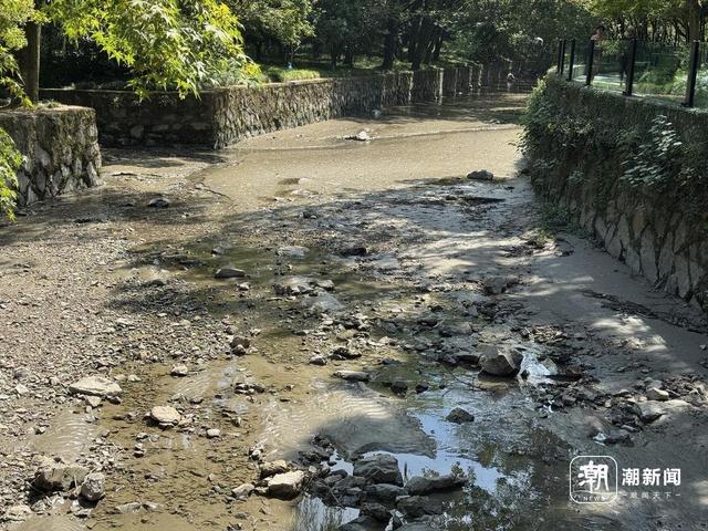 杭州九溪都热干了？记者实探：部分河段干涸，玩水的人仍不少