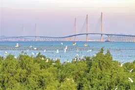 黄茅海跨海通道2月28日起开始收费 大桥段单次收费33元图片