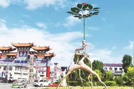 吉林农村报：新人参纪事图片