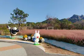 日均1.57万人次游逛，市北浮山森林公园“上新”图片