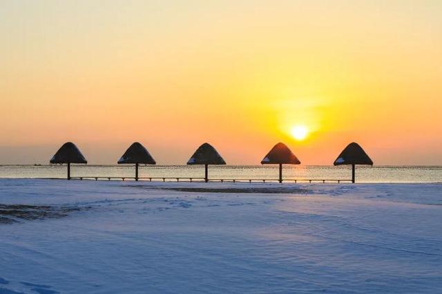 去什么北海道，冬日里的威海不是“平替”，是天花板！