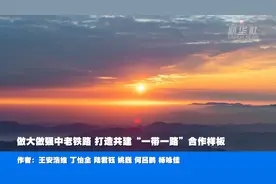 做大做强中老铁路 打造共建“一带一路”合作样板图片