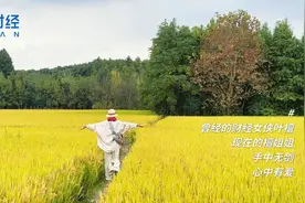 一位80后的焦虑与恐惧，白天装体面，晚上不停内耗，家庭崩溃了丨叶檀回信图片