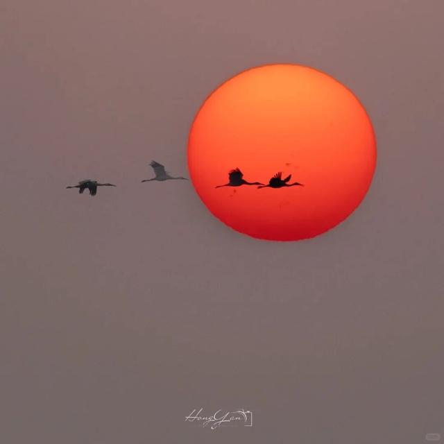 今日大雪 | 江西过冬最浪漫的事