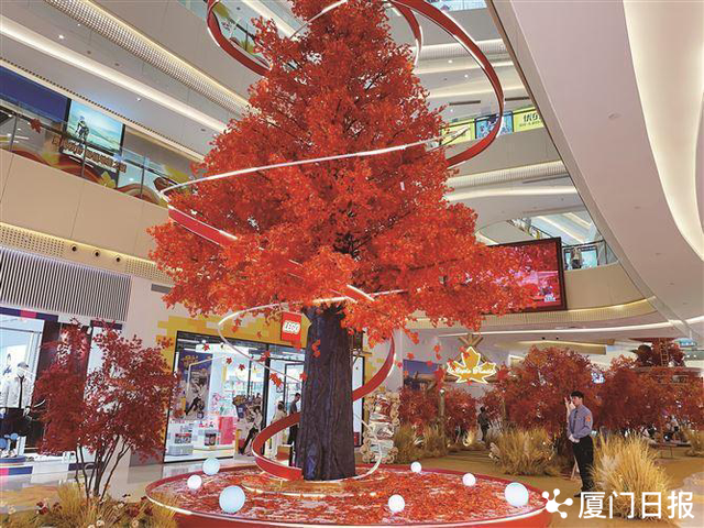 厦门秋意渐浓，来这些地方感受不同的秋日氛围！