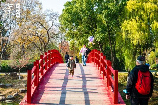 秦淮citywalk｜七桥瓮湿地公园